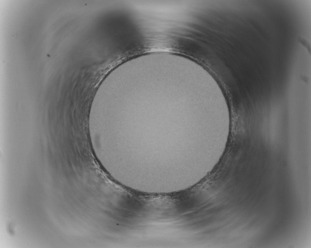 X0000103900385200810171619