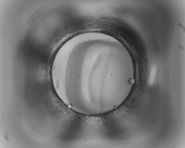 X0000103900387200810171619