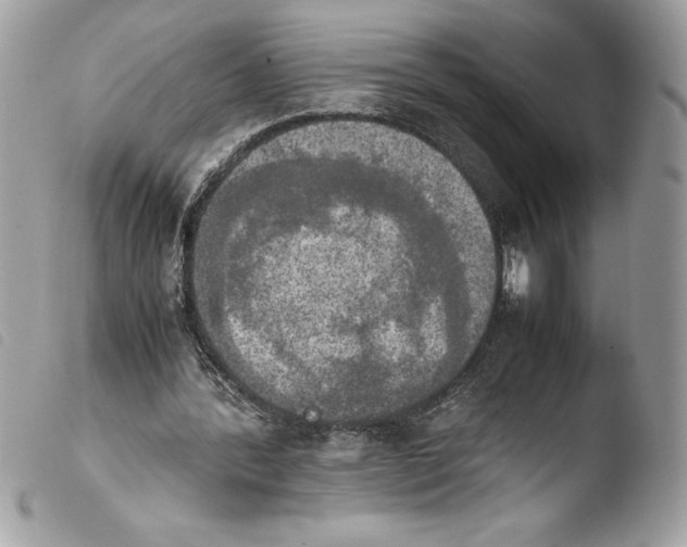 X0000103900388200810171619