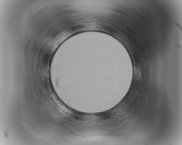 X0000103900389200810171619