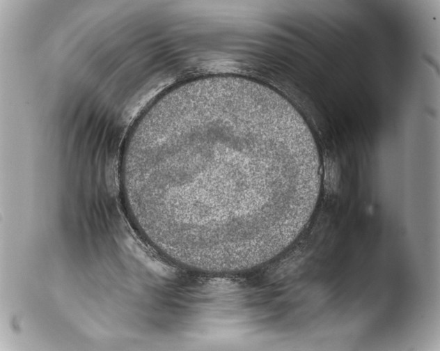 X0000103900390200810171619