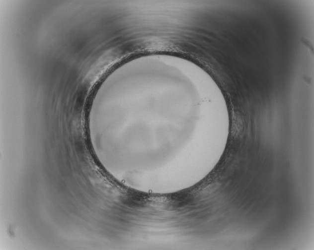 X0000103900391200810171619