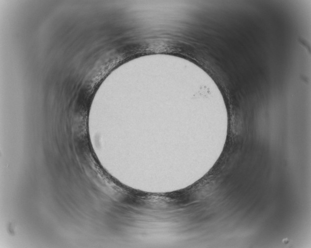 X0000103900393200810171619