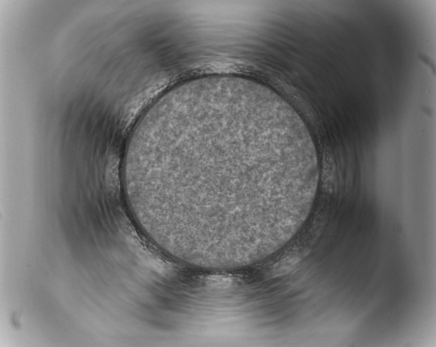 X0000103900394200810171619