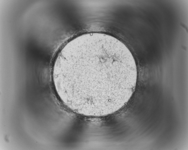 X0000103900395200810171619