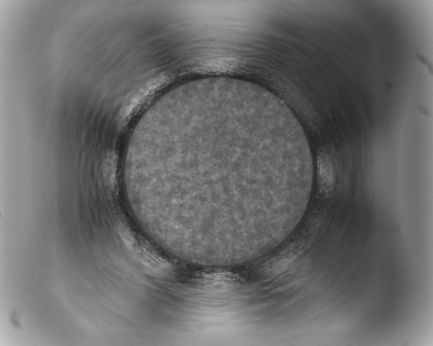 X0000103900396200810171619