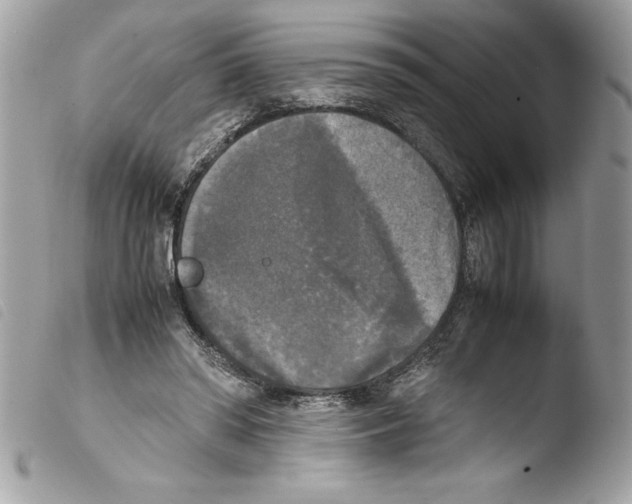 X0000103900398200810171619