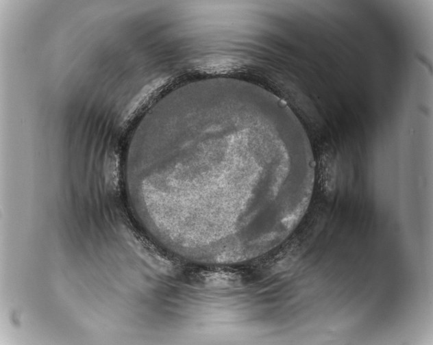 X0000103900400200810171619