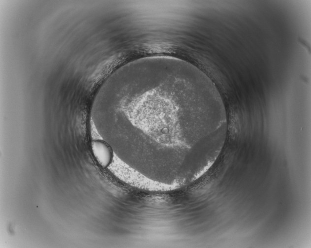 X0000103900402200810171619