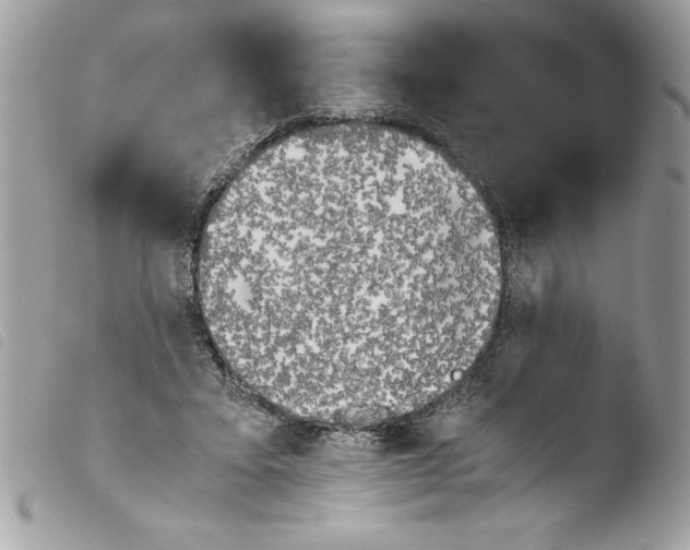 X0000103900403200810171619