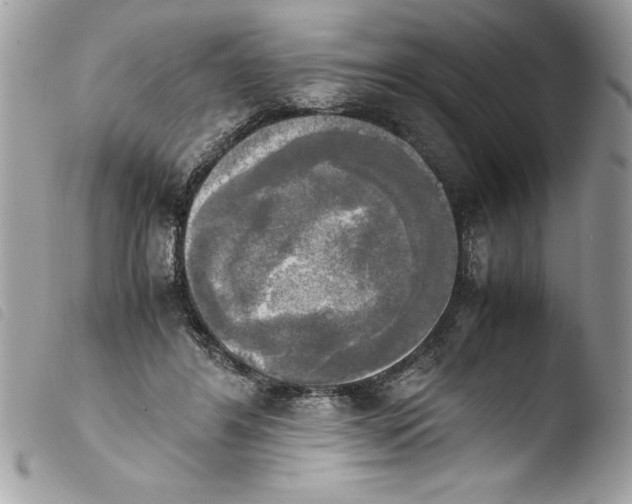 X0000103900404200810171619