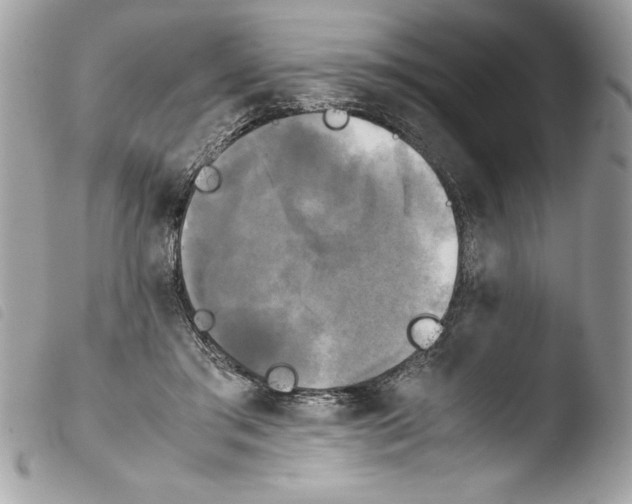 X0000103900405200810171619