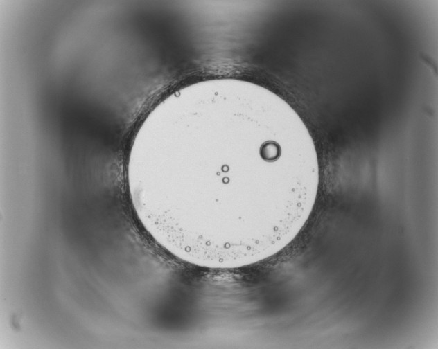 X0000103900407200810171619