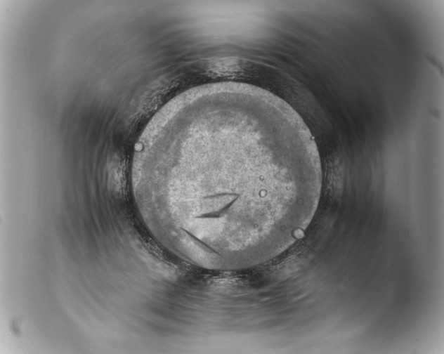 X0000103900408200810171619