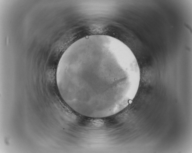 X0000103900409200810171619