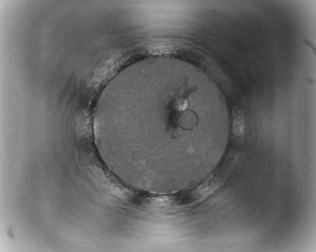 X0000103900411200810171619