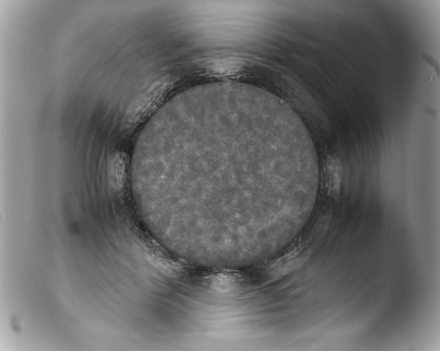 X0000103900412200810171619