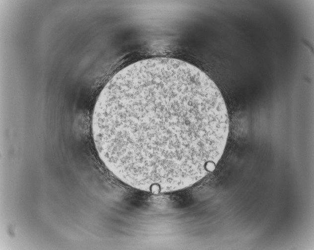 X0000103900413200810171619