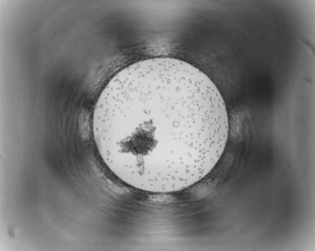 X0000103900414200810171619