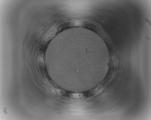 X0000103900415200810171619