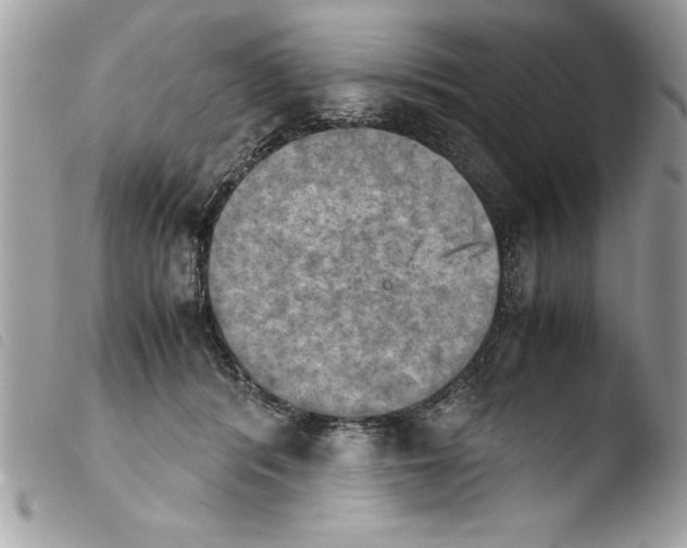 X0000103900416200810171619