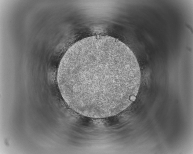 X0000103900417200810171619