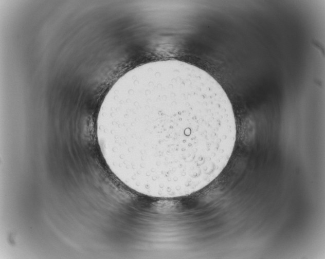 X0000103900418200810171619