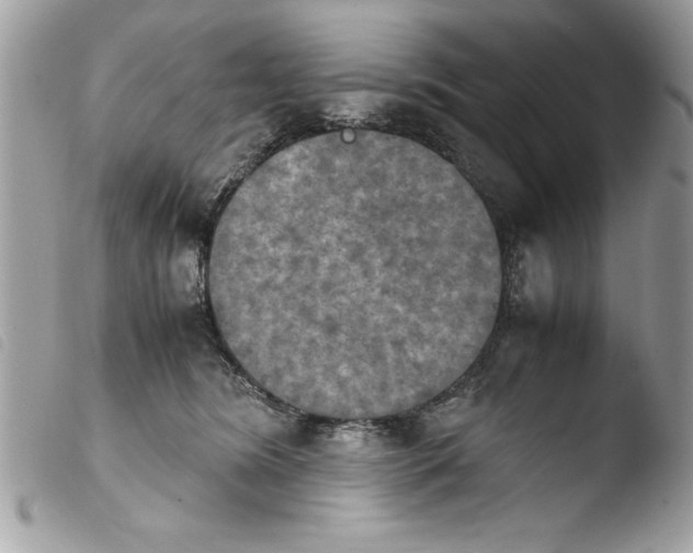 X0000103900420200810171619