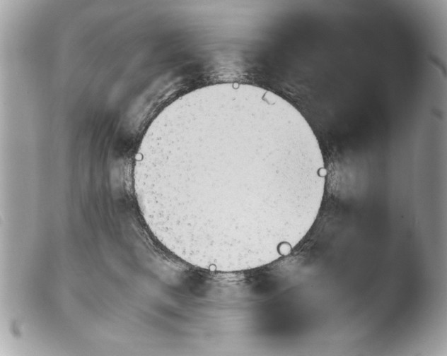 X0000103900421200810171619