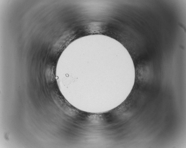 X0000103900422200810171619