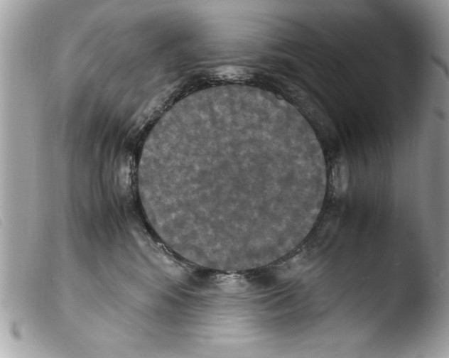 X0000103900424200810171618