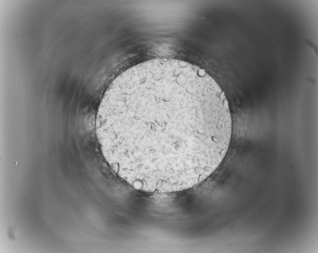 X0000103900425200810171618