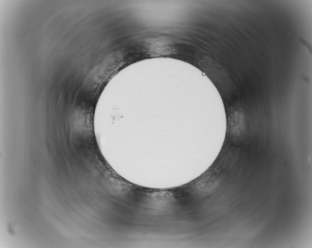 X0000103900426200810171618