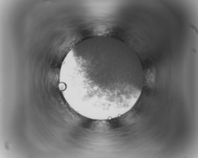 X0000103900427200810171618