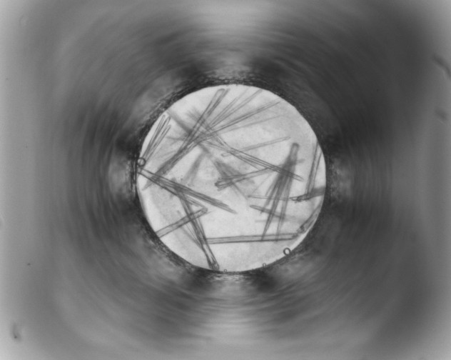 X0000103900428200810171618