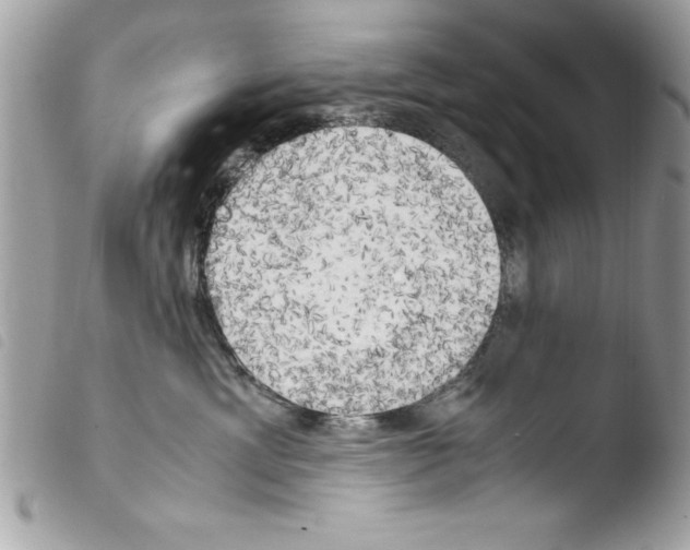 X0000103900429200810171618