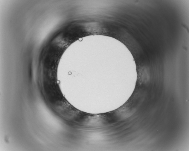 X0000103900430200810171618