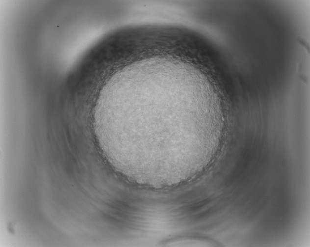 X0000103900431200810171618