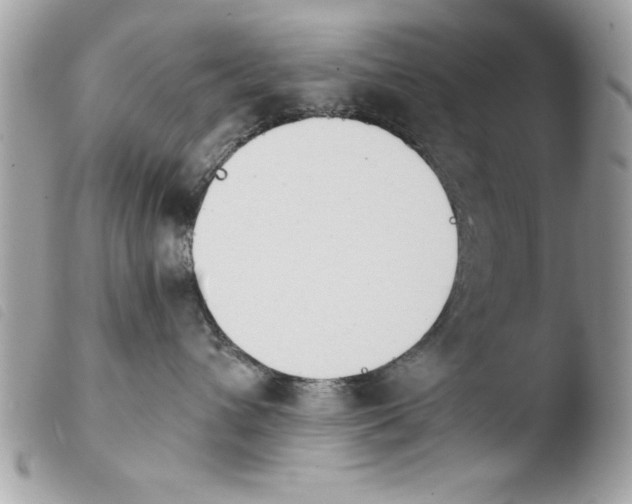 X0000103900432200810171618