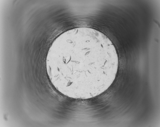 X0000103900433200810171618