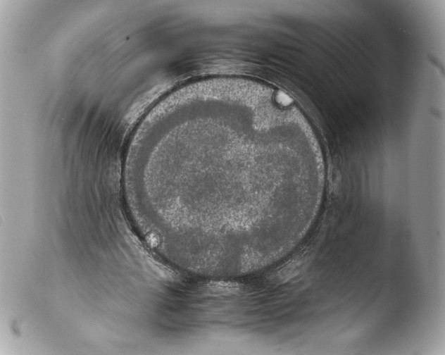 X0000103900437200810171618