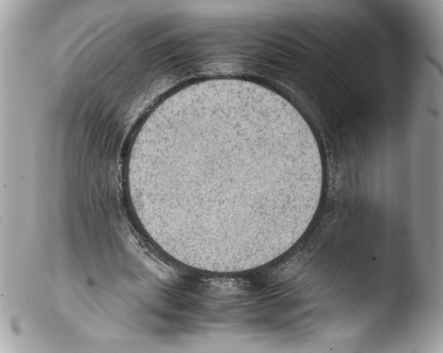 X0000103900439200810171618