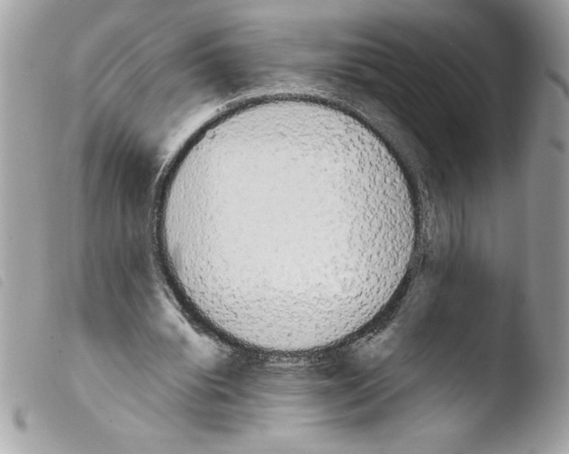 X0000103900440200810171618