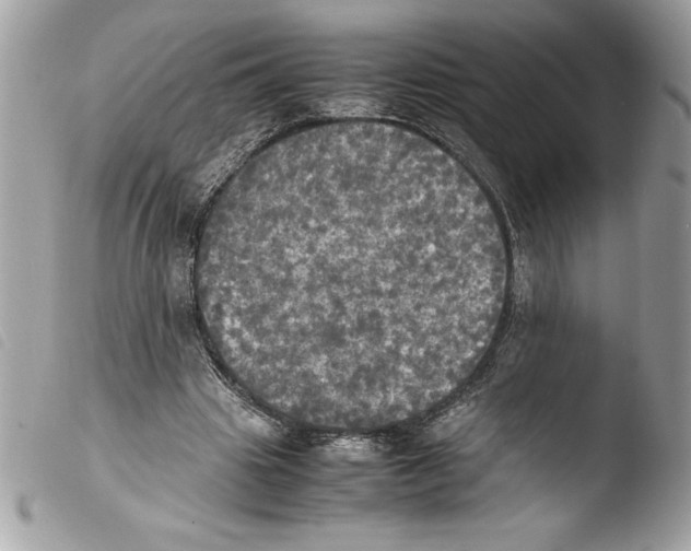 X0000103900441200810171618