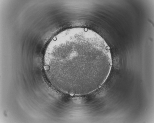 X0000103900444200810171618