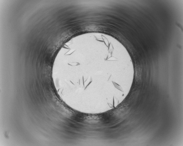 X0000103900445200810171618