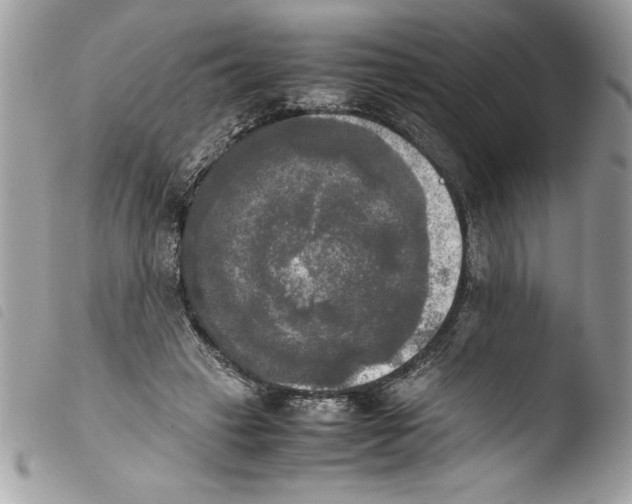 X0000103900449200810171618