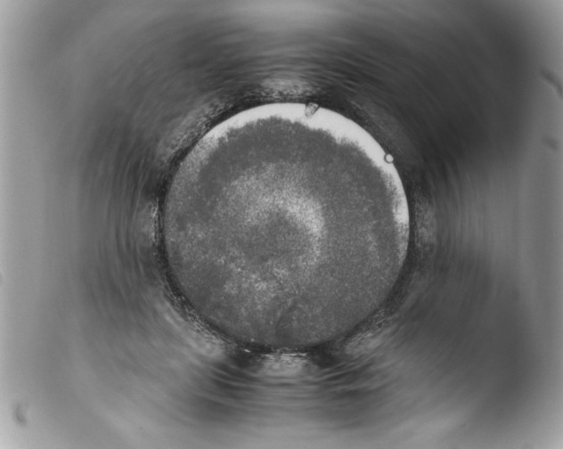 X0000103900451200810171618