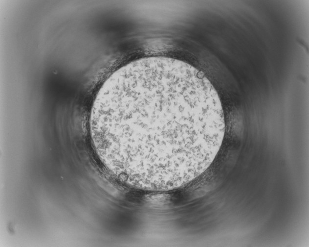 X0000103900452200810171618