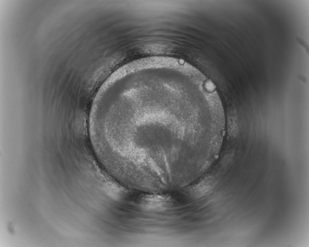 X0000103900453200810171618